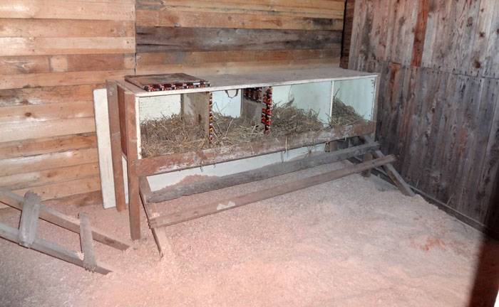 Réchauffer le poulailler de l'intérieur pour l'hiver - façons et astuces