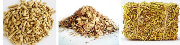 Biocarburants : comparaison des carburants solides, liquides et gazeux