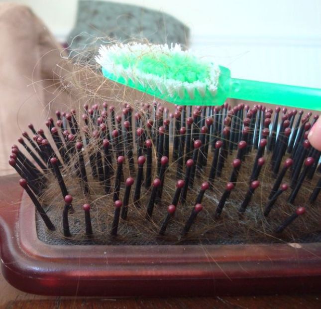 10 façons non conventionnelles d'utiliser une vieille brosse à dents
