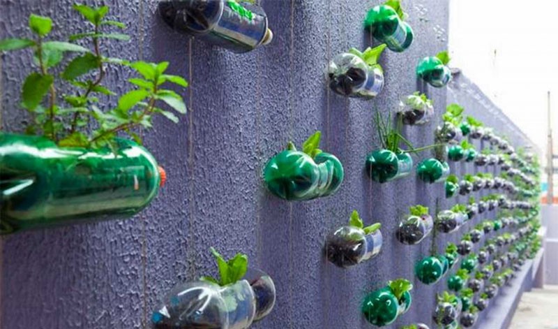 Recyclage des bouteilles en plastique - une nouvelle vie pour les contenants pour animaux de compagnie après le recyclage