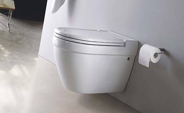 Comment choisir la bonne toilette: ce qu'il faut rechercher avant d'acheter + examen des fabricants