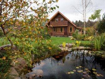 Nous fabriquons le drainage mural à la maison