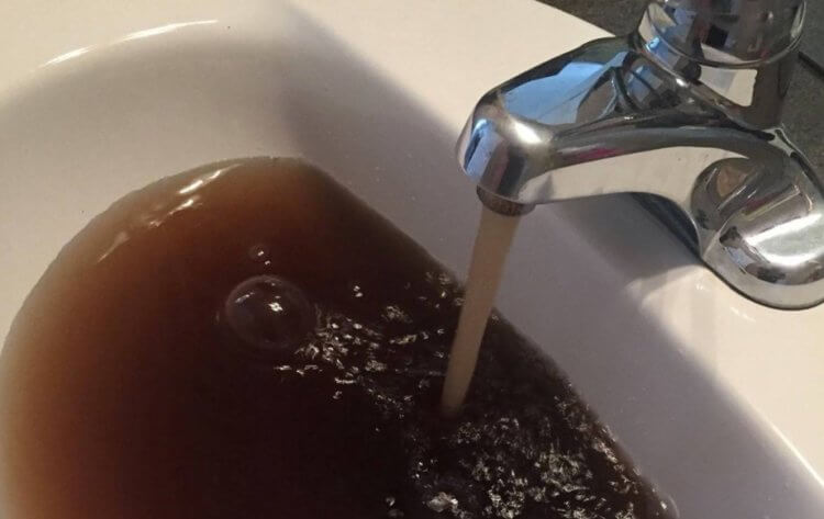 Pourquoi une propreté parfaite dans la maison peut entraîner la multiplication de micro-organismes dangereux