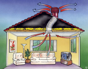 Déflecteur de ventilation: appareil, variétés, règles d'installation