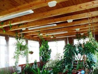 Radiateurs infrarouges avec thermostat pour chalets d'été - conseils d'experts