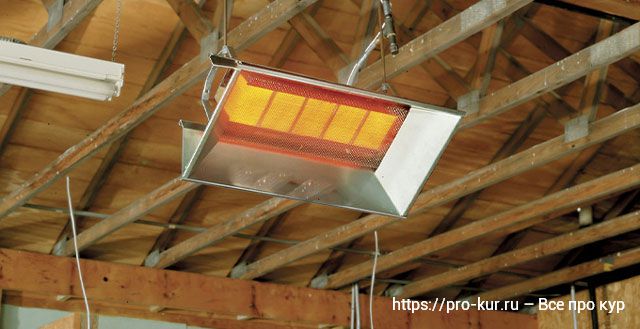 Comment chauffer un poulailler pendant les gelées d'hiver