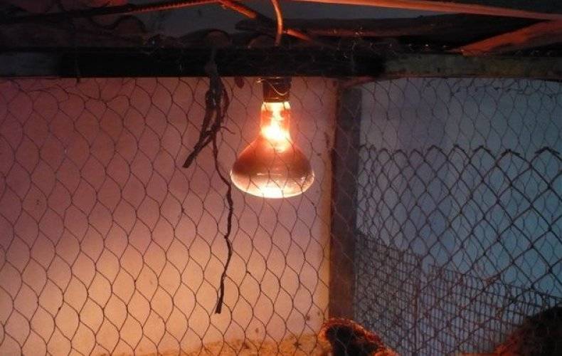 Lampes infrarouges comme moyen de chauffage