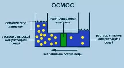 Osmose inverse : préjudice ou bénéfice